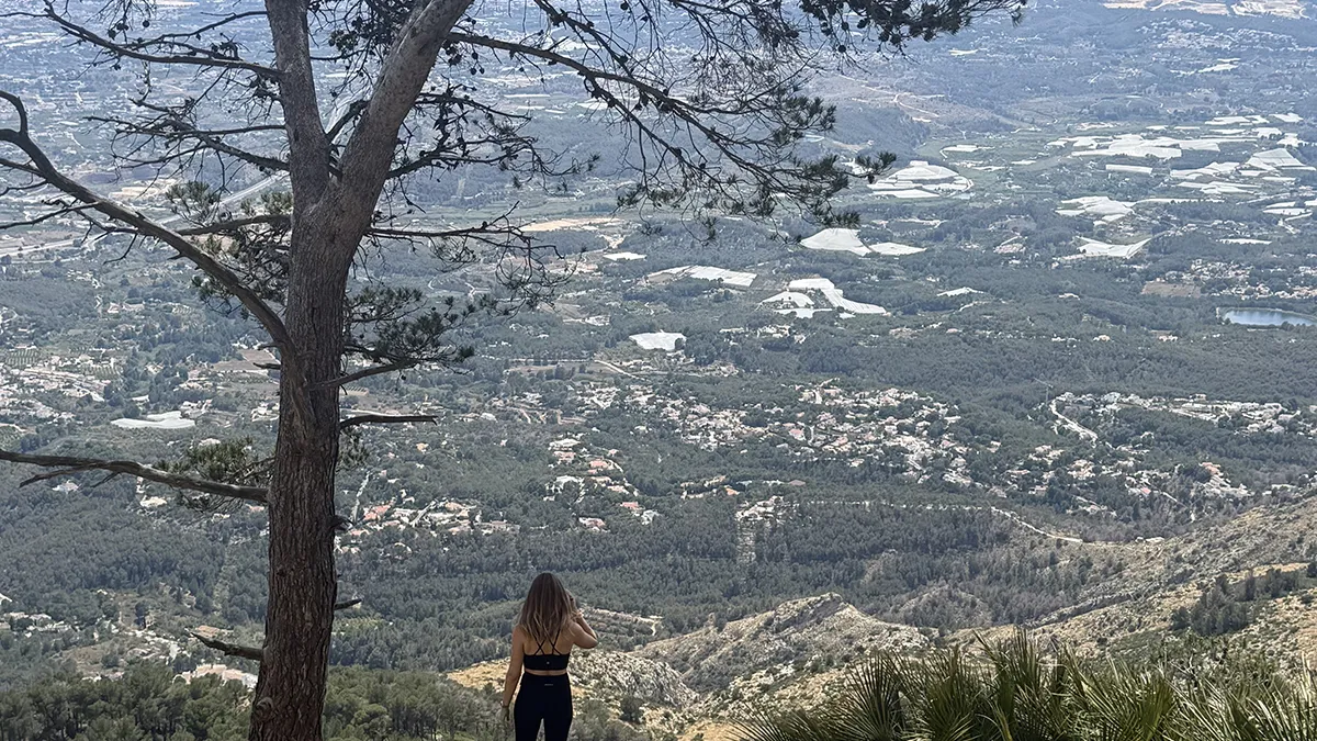 Photo 17 05 2025 15 06 17
