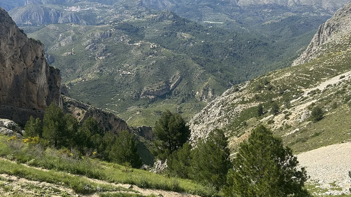 Photo 17 05 2025 16 42 17
