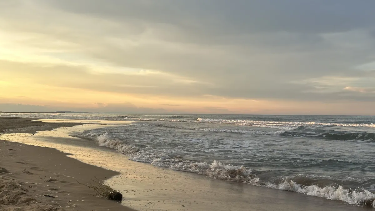 Playa Oliva